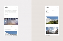 Project Example