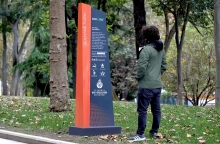 Project Example