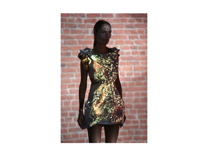 Blog Post 1